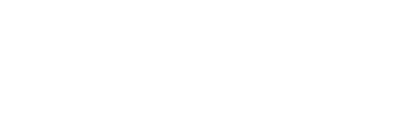 Den Sociale Investeringsfond.